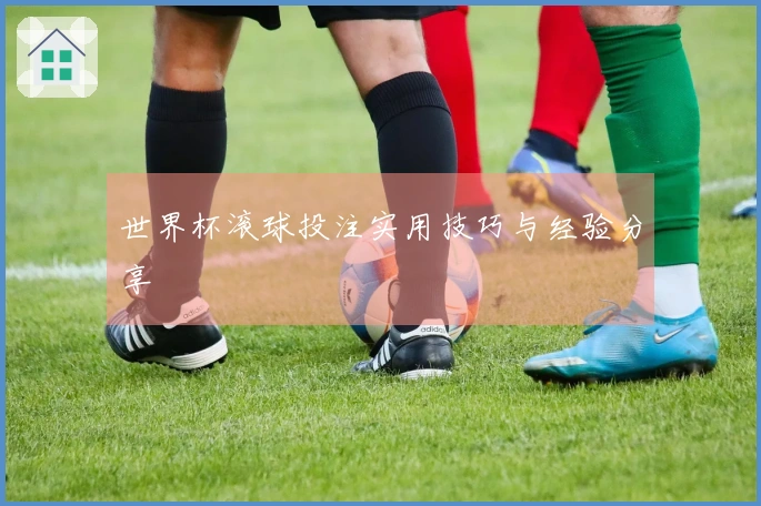世界杯滚球投注实用技巧与经验分享
