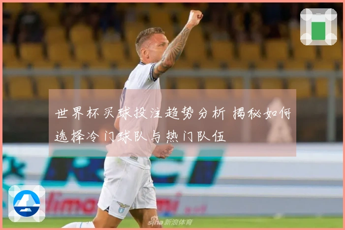 世界杯买球投注趋势分析 揭秘如何选择冷门球队与热门队伍
