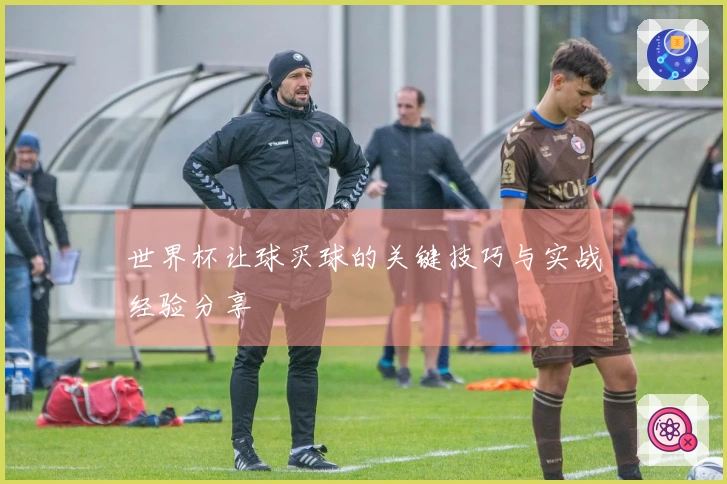 世界杯让球买球的关键技巧与实战经验分享
