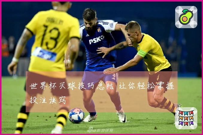 世界杯买球技巧总结 让你轻松掌握投注诀窍