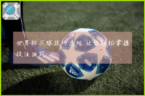 世界杯买球技巧总结 让你轻松掌握投注诀窍