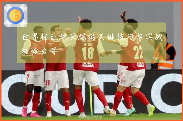 世界杯让球买球的关键技巧与实战经验分享