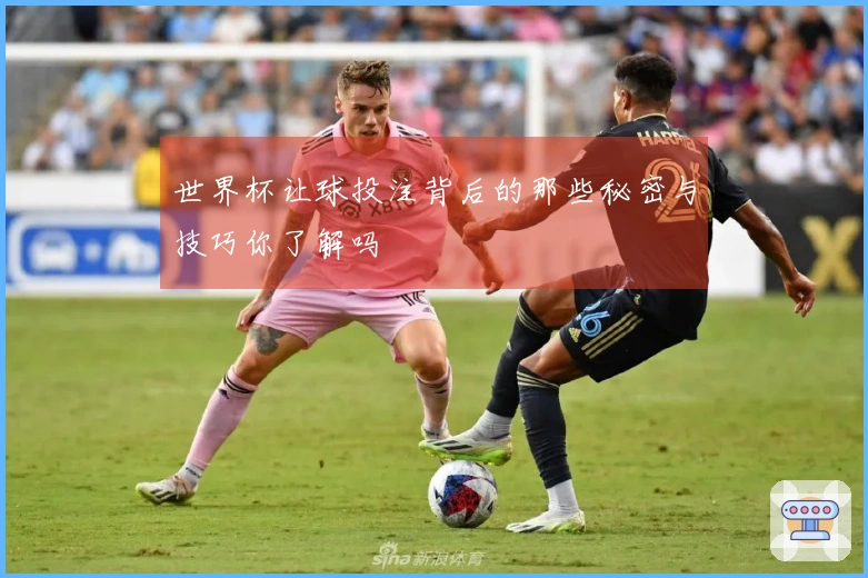 世界杯让球投注背后的那些秘密与技巧你了解吗