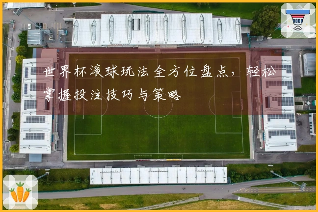 世界杯滚球玩法全方位盘点，轻松掌握投注技巧与策略