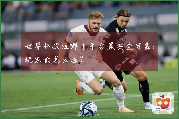 世界杯投注哪个平台最安全可靠，玩家们怎么选？