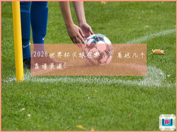 2026世界杯买球在哪儿？看这几个靠谱渠道！