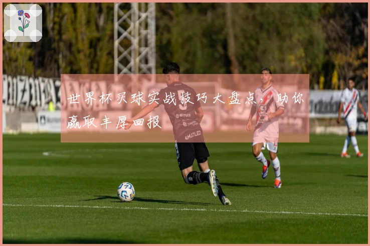 世界杯买球实战技巧大盘点，助你赢取丰厚回报