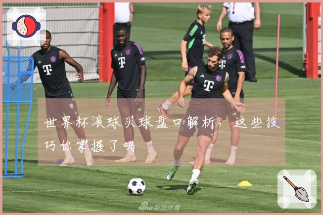 世界杯滚球买球盘口解析，这些技巧你掌握了吗